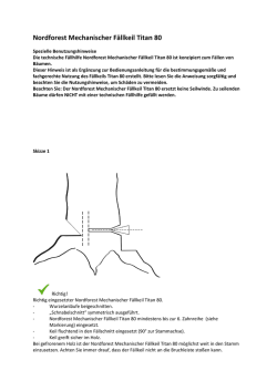 Nordforest Mechanischer Fällkeil Titan 80