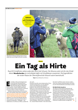 Ein Tag als Hirte