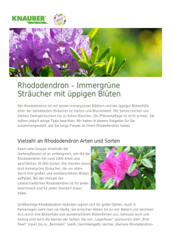 Herunterladen