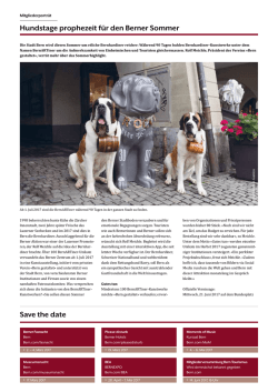 Save the date Hundstage prophezeit für den Berner