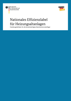 Handlungsleitfaden f&uuml;r die bevollm&auml;chtigten