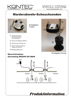 PDF-Informationsblatt