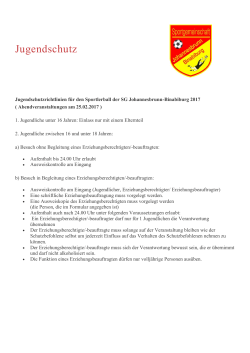 Jugendschutz-Richtlinien beim SG Faschingsball