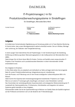 IT-Projektmanager/-in f&uuml;r