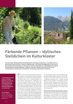 PDF Artikel - Pflanzenfarben