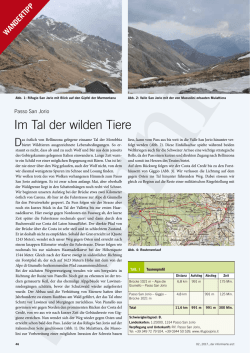 Im Tal der wilden Tiere - Aerzteverlag medinfo AG