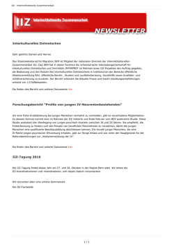 Interkulturelles Dolmetschen Forschungsbericht "Profile von jungen