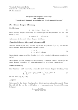 Institut f&uuml;r Mathematik Dr. M. Ehrhardt Projektblatt Burge