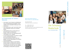 Informationen zur SRS - Schubart
