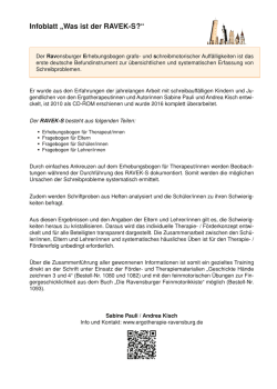 Infoblatt &bdquo;Was ist der RAVEK-S?&ldquo;