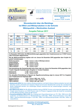 Marktlagebericht SMP Februar 2017