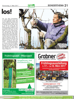 Seite 21 - NEUES LAND
