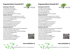 04. März 2017 Berner Fasnacht