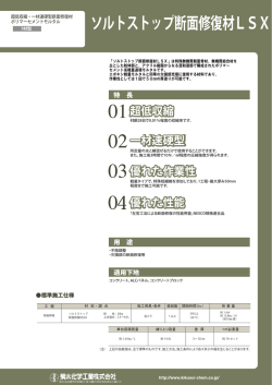ソルトストップ断面修復材LSX