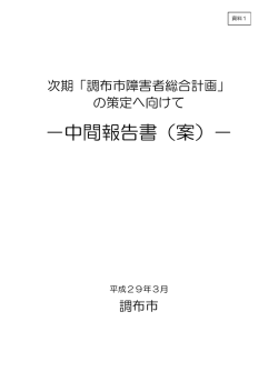 中間報告書（案）