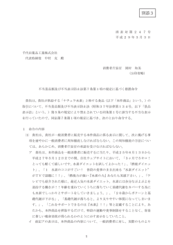別添3 - 消費者庁