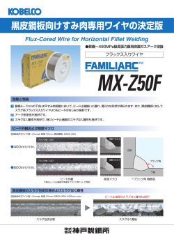 黒皮鋼板向けすみ肉専用ワイヤの決定版 FAMILIARC™ MX-Z50F