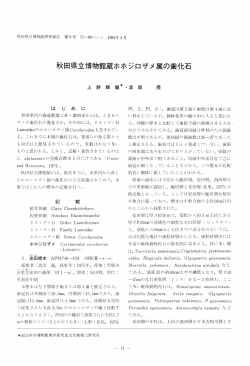 Page 1 秋田県立博物館研究報告 第9号 71
