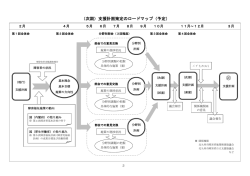 （次期）支援計画策定のロードマップ（予定）（PDF形式：160KB）