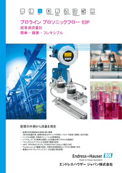 プロライン プロソニックフロー 93P - Endress+Hauser Portal