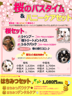 大型犬 2160円(税込)