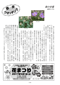 内容を見る（PDF）