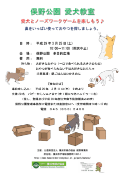 鼻をいっぱい使っておやつを探しましょう。
