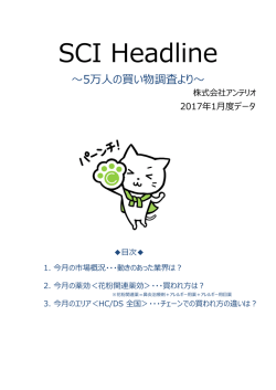 調査レポートを見る（PDF）