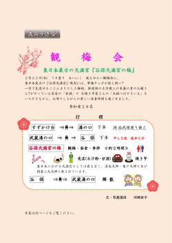 谷保天満宮の梅
