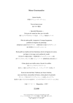詳細情報を見る（PDF）
