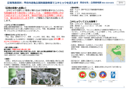 資料5 甲府市遊亀公園附属動物園でユキヒョウを迎えます（PDF：832KB）