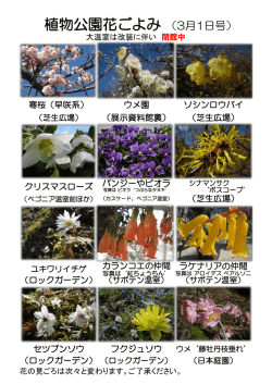 植物公園花ごよみ （3月1日号）