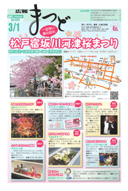 松戸宿坂川河津桜まつり