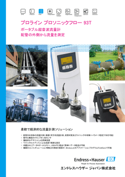 プロライン プロソニックフロー 93T - Endress+Hauser Portal