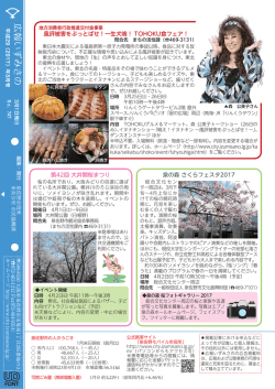 裏表紙（PDF：1.2MB）
