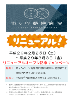 リニューアルオープン記念キャンペーン