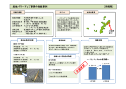 産地パワーアップ事業の取組事例 （沖縄県）