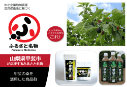 桑の実摘み観光