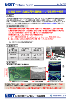 Technical Report 低真空SEM（走査型電子顕微鏡）による絶縁物の観察