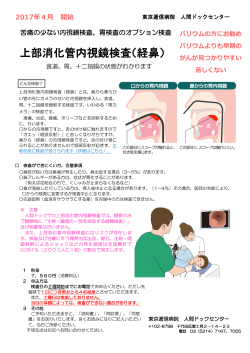 上部消化管内視鏡検査（経鼻）