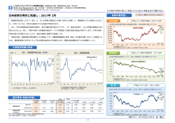 日本経済の現状と見通し：2017年 3月