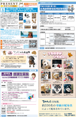 21面 - ちゃんと