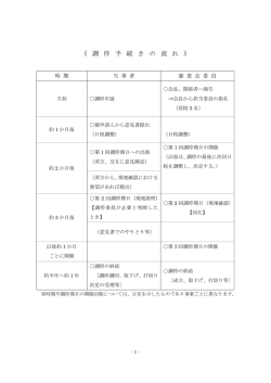 調停手続きの流れ [PDFファイル／87KB]