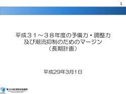 平成31～38年度の予備力・調整力 及び潮流抑制のためのマージン