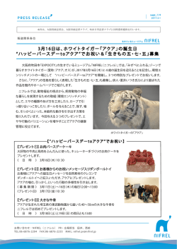 ホワイトタイガー「アクア」