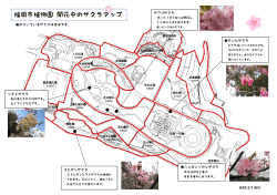 福岡市植物園 開花中のサクラマップ（29.03.07）