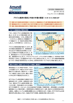 ブラジル経済の現状と今後の市場の展望～16 年 10-12 月期
