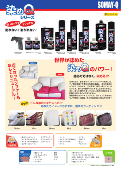 世界が認めた のパワー!