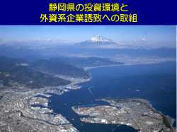 概 要 - 静岡外資系企業支援ワンストップセンター