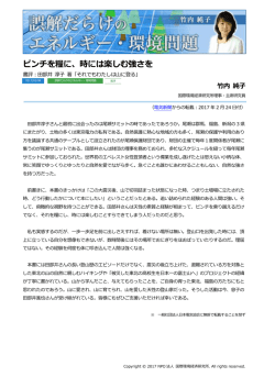 記事全文（PDF） - 国際環境経済研究所